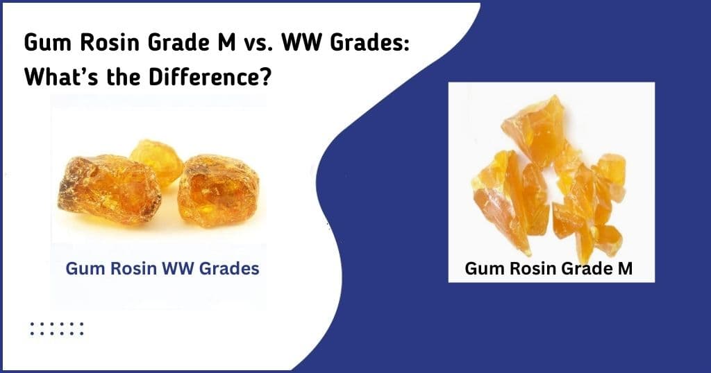 Gum Rosin Grado M frente a Grados WW: ¿Cuál es la diferencia?
